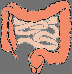 Routine Colonoscopy