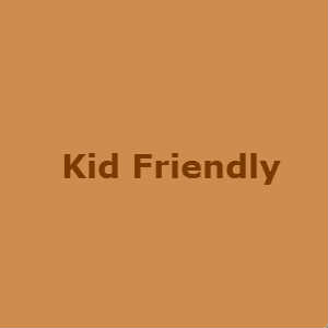 Kid Friendly Food photo Link